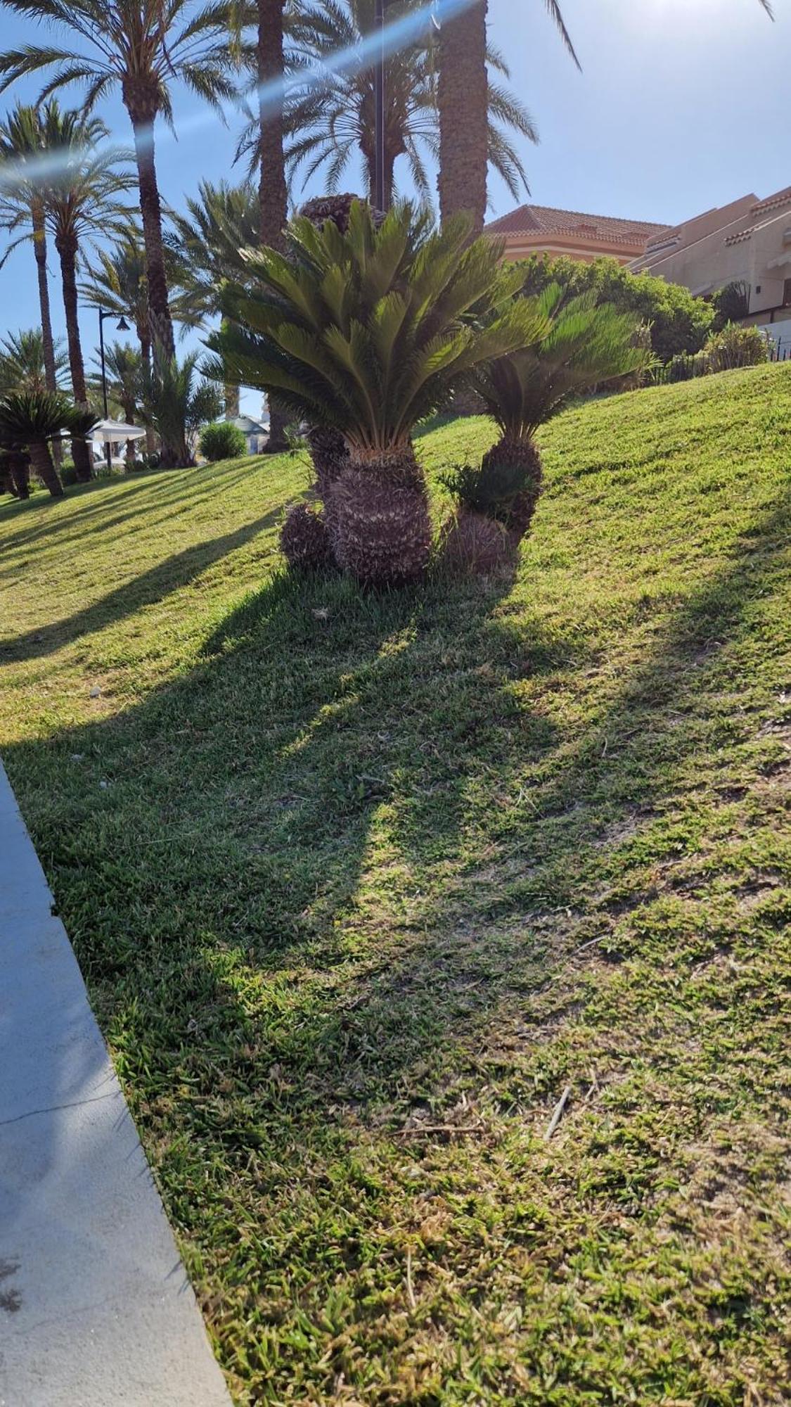 פלאייה דה לאס אמריקס Torres Del Sol Luxury Las Americas מראה חיצוני תמונה